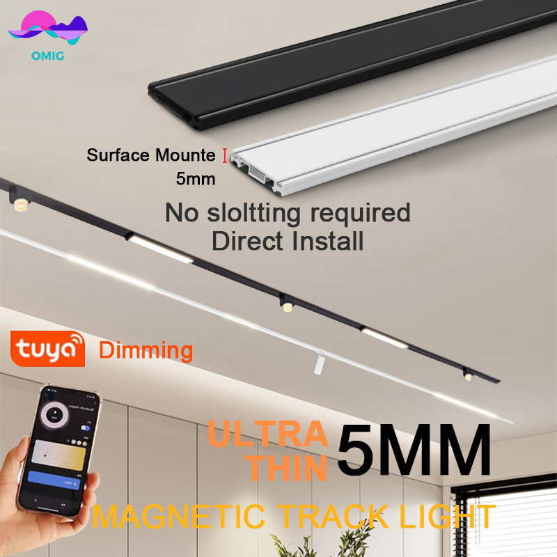 Outdoor Lighting Track - Slimme Magnetische Trackrail Verlichting Home Tuya